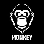 Monkey Academia de Parkour