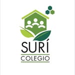 colegiosuri