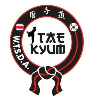 Tae Kyum Costa Rica